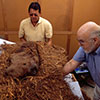 Unwrapping the Lives of the Paracas People